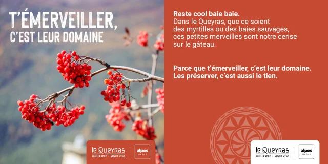 Visuels Automne Guillestrois Queyras 2025 2