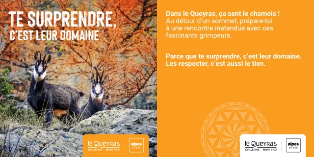 Visuels Automne Guillestrois Queyras 2025 3