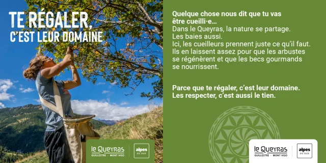 Visuels Automne Guillestrois Queyras 2025 4