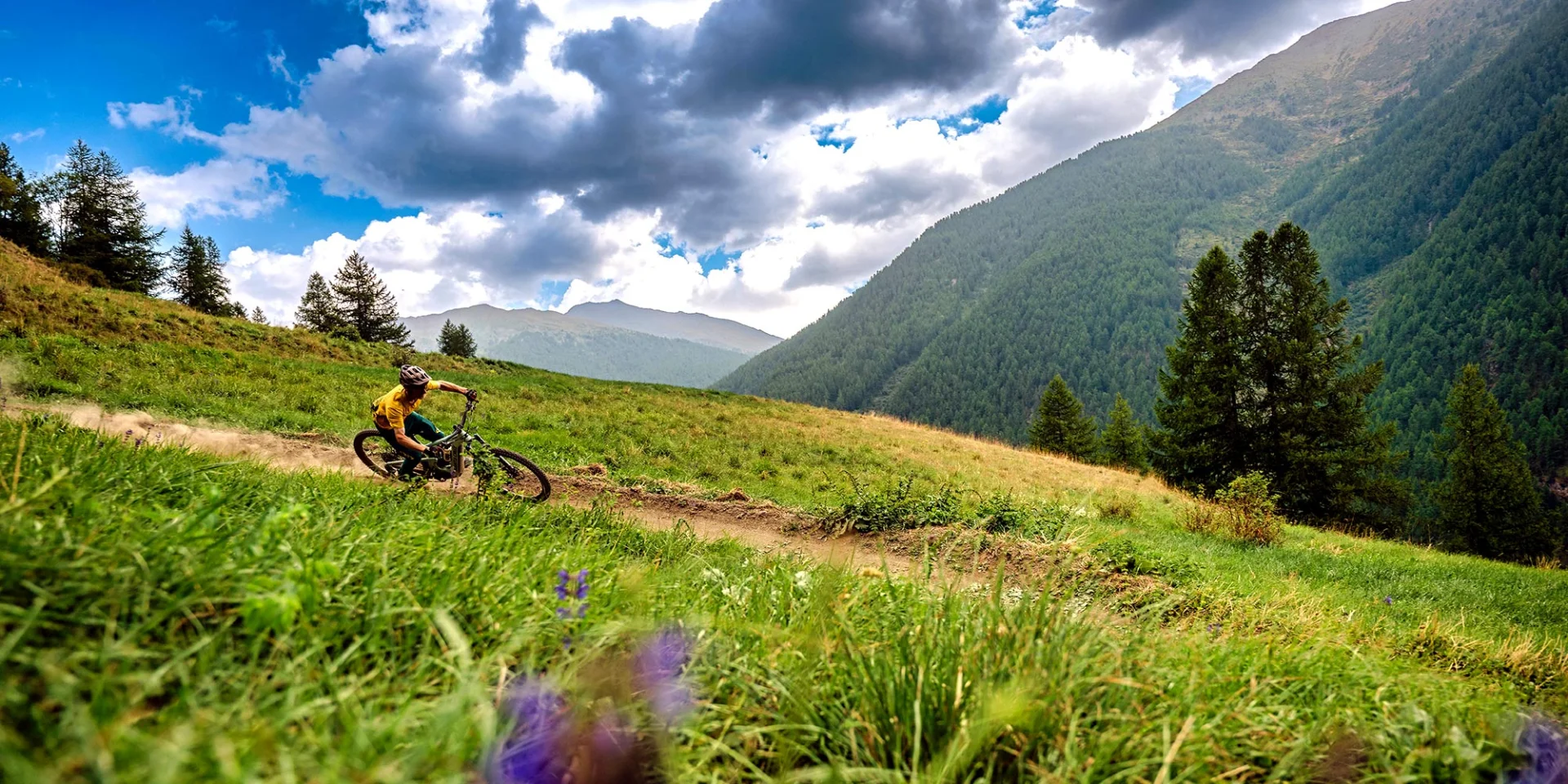 Bike Park Abries Ete