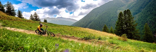 Bike Park Abries Ete