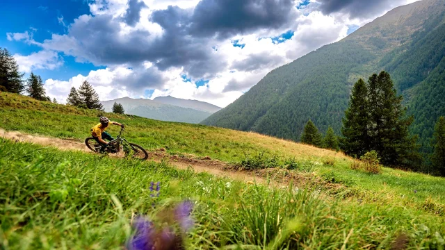 Bike Park Abries Ete