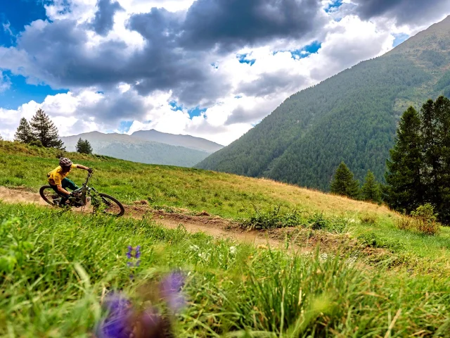 Bike Park Abries Ete