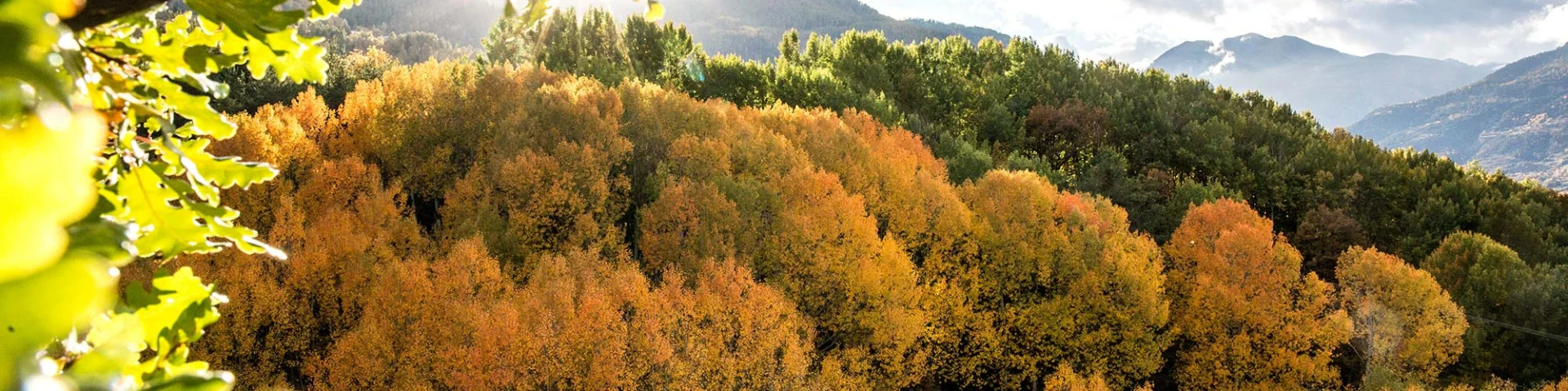 Guillestre Couleurs D Automne Rando