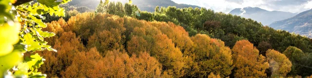Guillestre Couleurs D Automne Rando