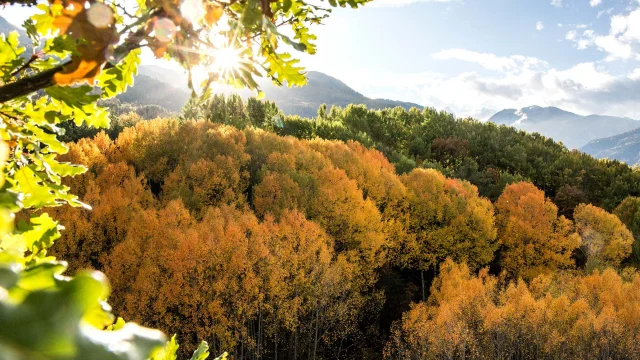 Guillestre Couleurs D Automne Rando