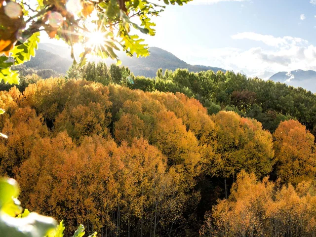 Guillestre Couleurs D Automne Rando