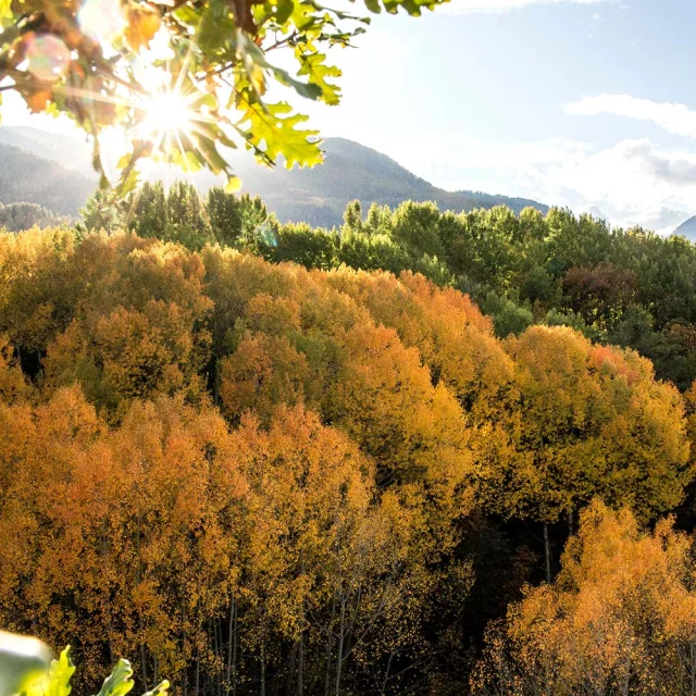 Guillestre Couleurs D Automne Rando
