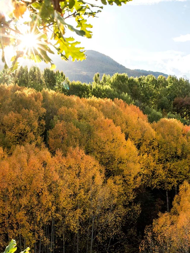 Guillestre Couleurs D Automne Rando