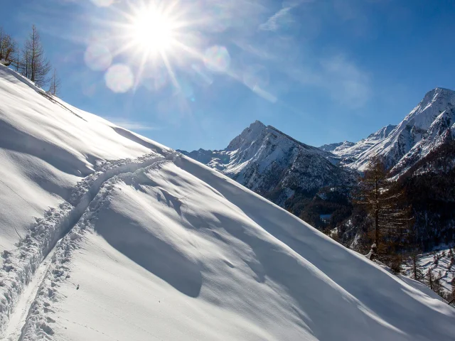 Ski De Randonnee Ristolas 05