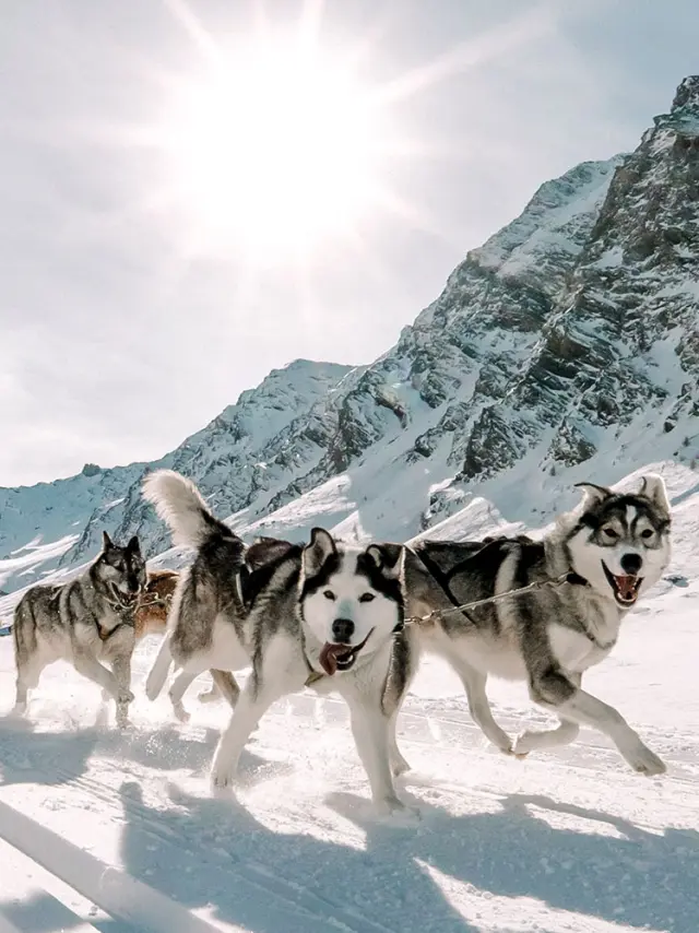 Activites Montagne Alpes