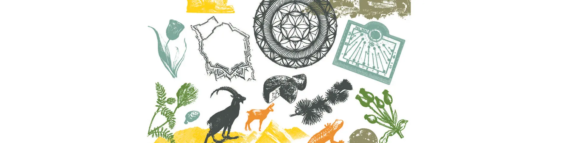 Espace Pro Charte Graphique