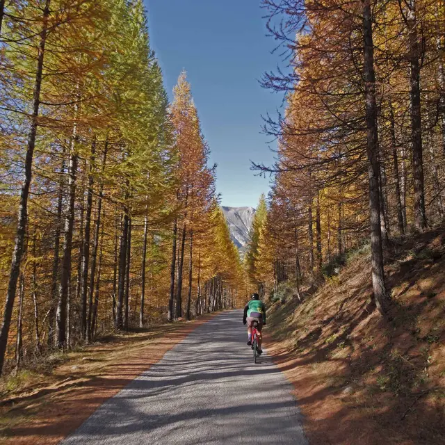 Gravel Vélo