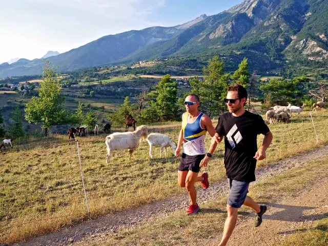 Trail Montagne 05