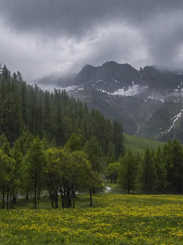 Montagne Sous La Pluie