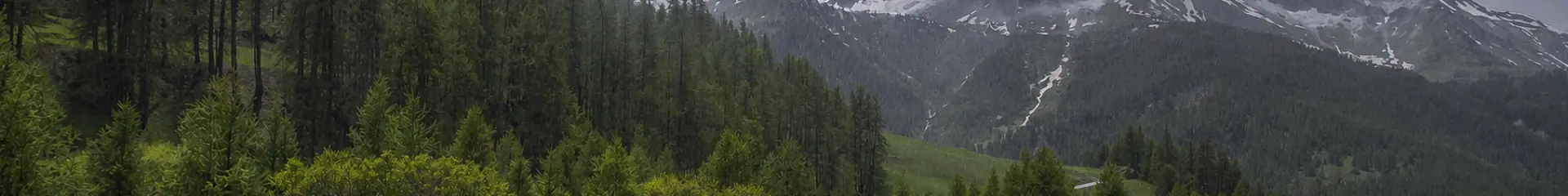 Montagne Sous La Pluie