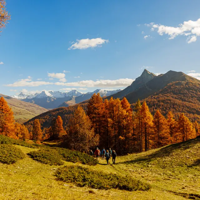 Lumieres Et Couleurs D Automne Queyras