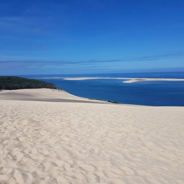20180619_104524.jpg