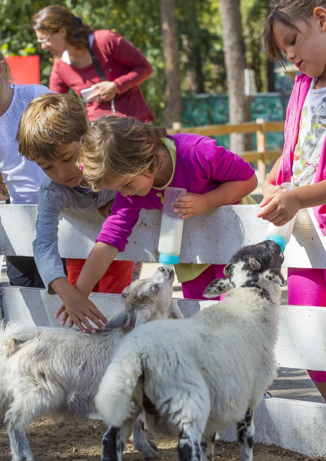 Enfants donnant le biberon à des animaux