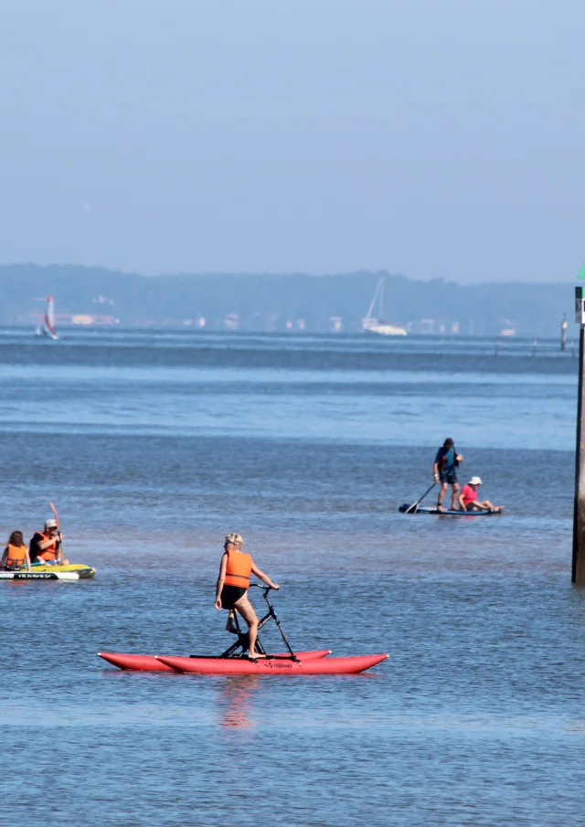 paddle-1.jpg