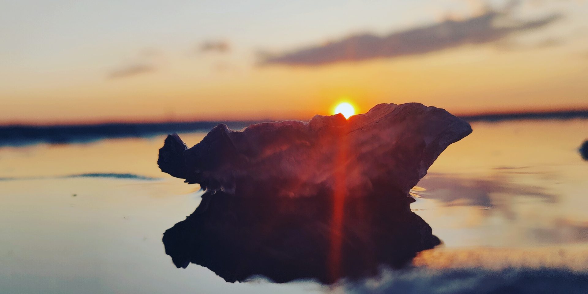 Huître posée dans l'eau à marée basse avec le coucher du soleil en arrière plan