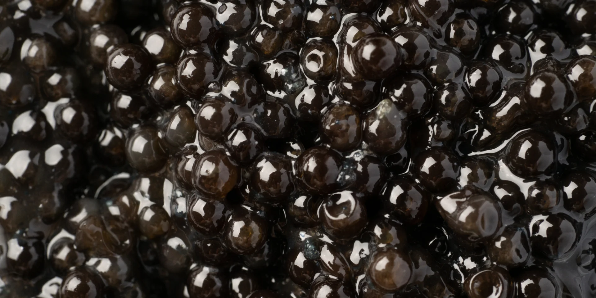 oeufs de caviar