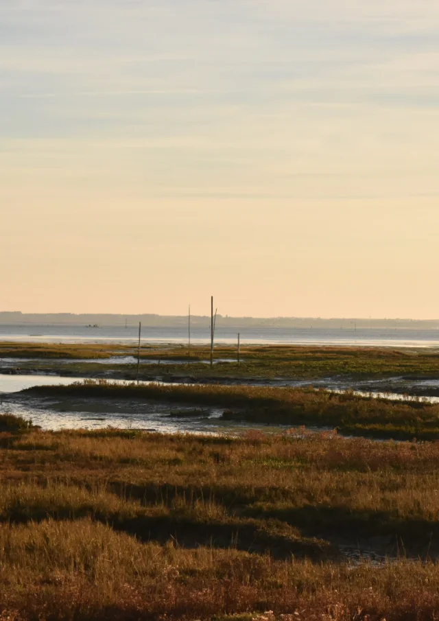 DSC_07381.jpg