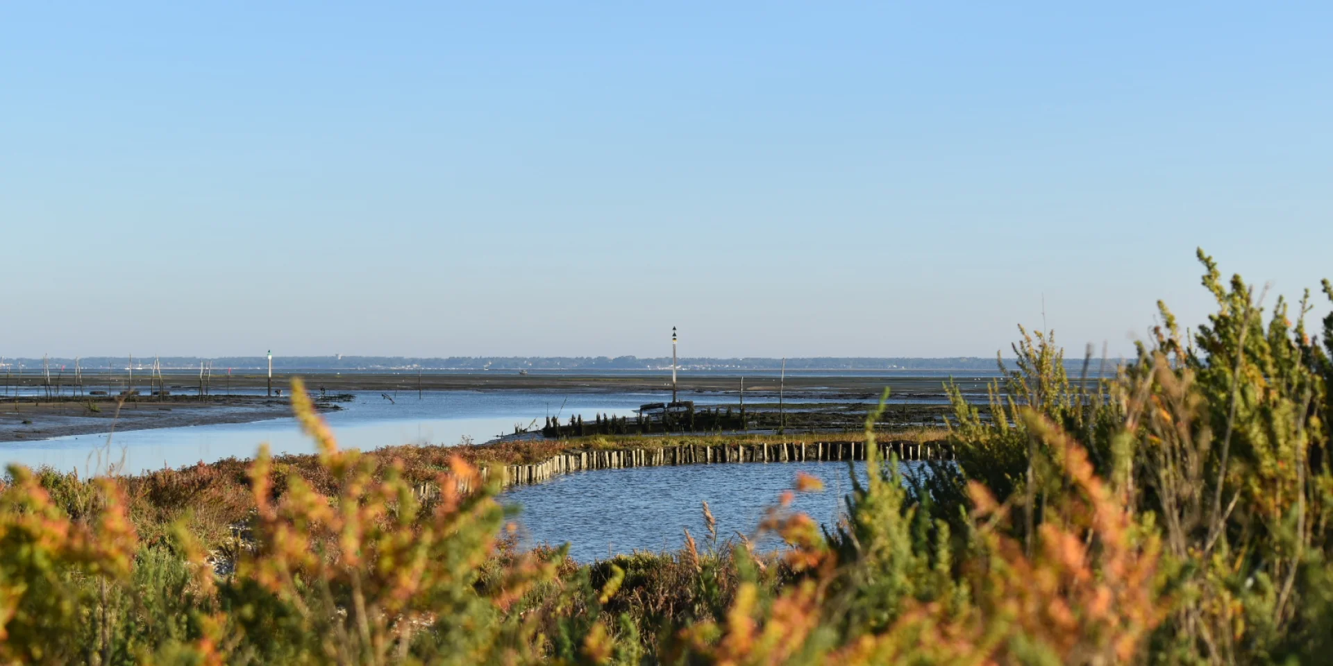 Photo du Bassin d'Arcachon prise depuis le port de Gujan avec des herbes hautes en avant plan