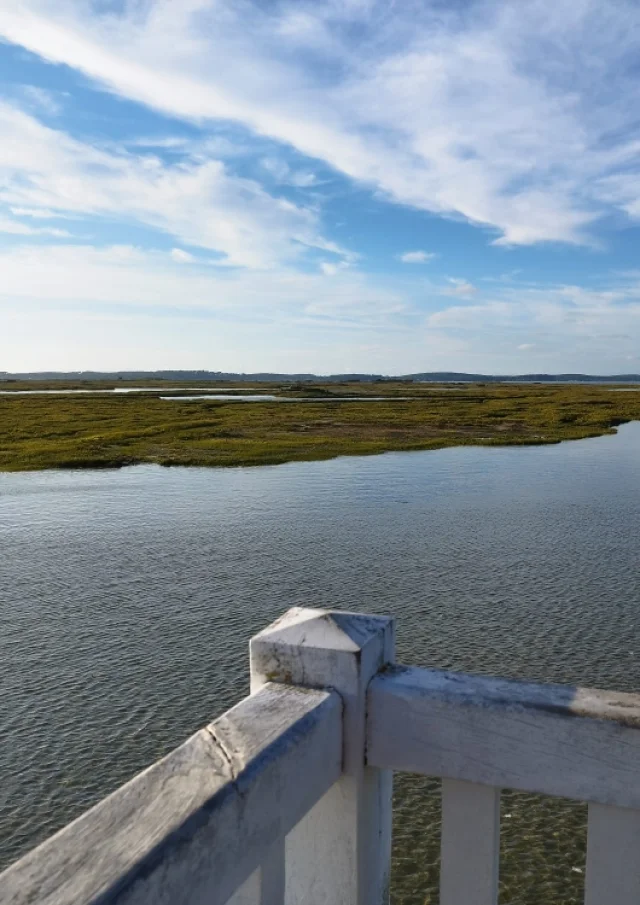vue de l'île aux oiseaux depuis la cabane tchanquée