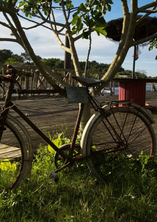 Vélo ancien qui fait office de décoration pour une cabane de dégustation d'huîtres le long d'un port