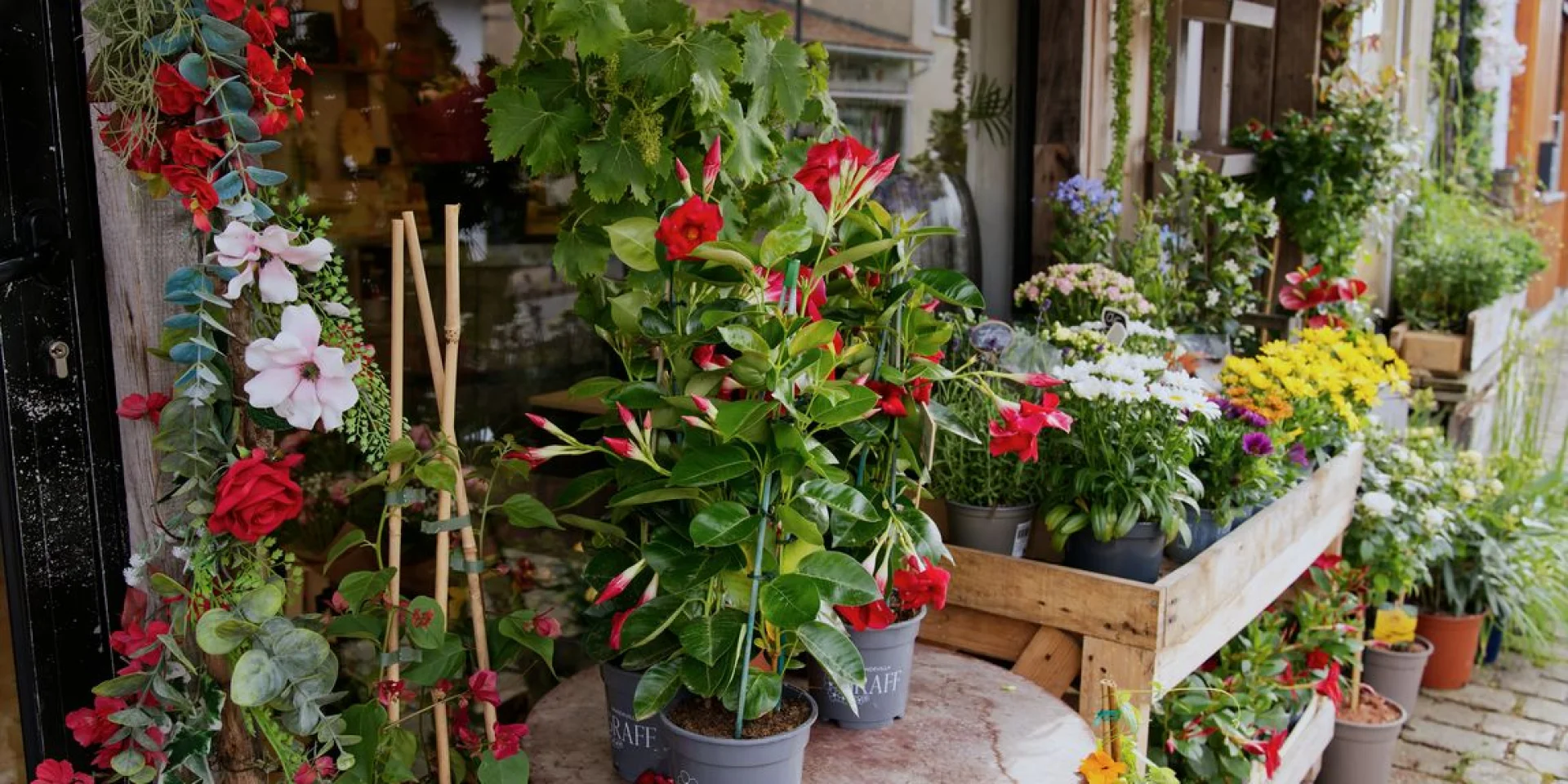 Terra Ostra Geschäfte Im Dela Des Fleurs 001 1024x768 1