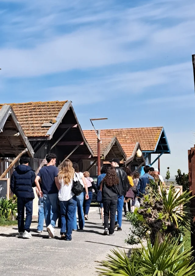 Groupe de personnes qui suit la visite du Port de Larros en passant devant les cabanes ostréicoles