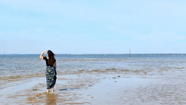 Dsc 0417