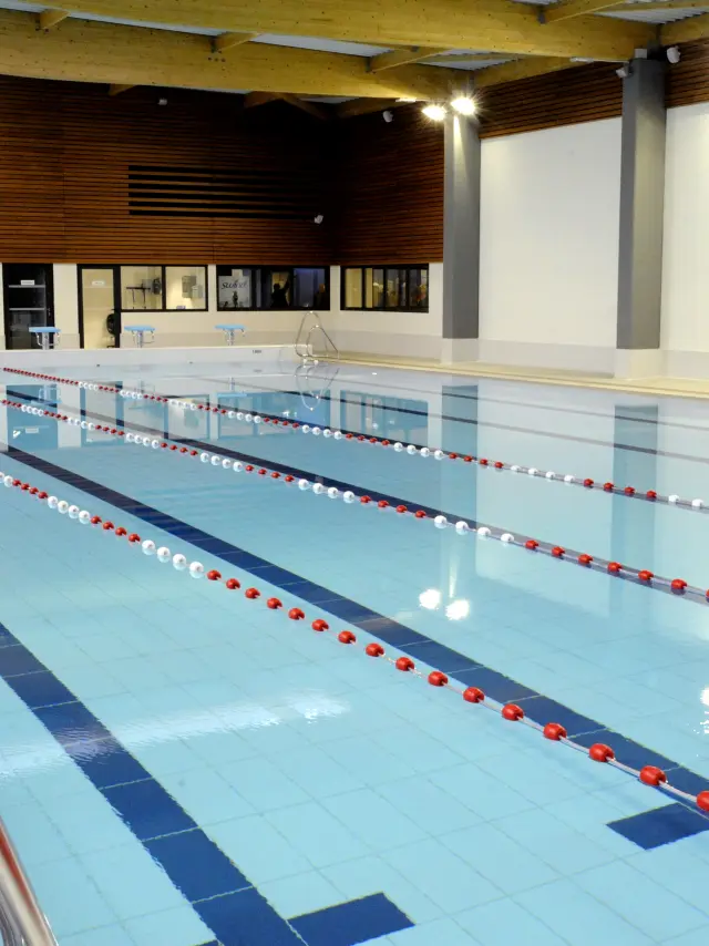 Bassin-sportif.jpg