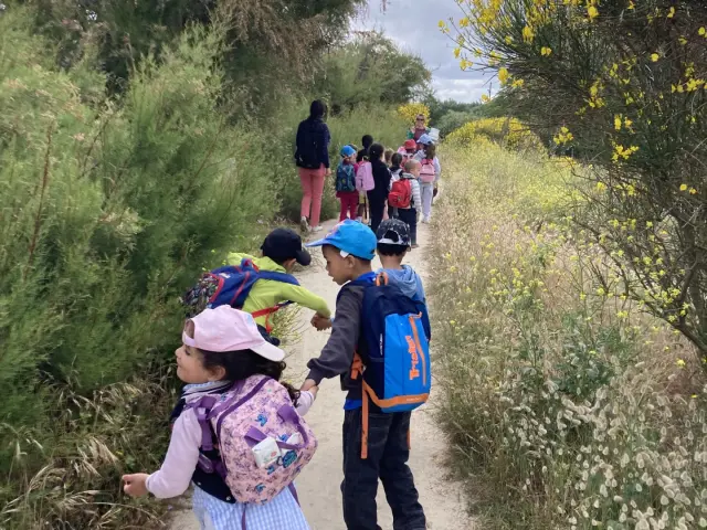 Des enfants se baladent sur le sentier du littoral, entouré de la flore typique du Bassin d'Arcachon.