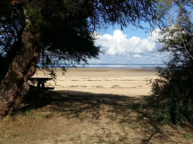 20191021 133245 Rotated