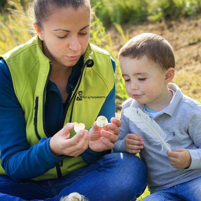 Saint Quentin en Tourmont, Parc ornithologique du Marquenterre