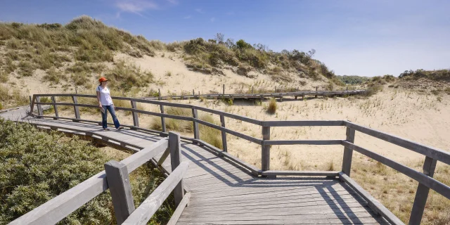 Merlimont. Sentier de randonnee au milieu des dunes.