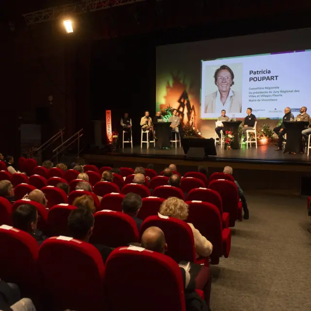 Remise des prix VVF 2025