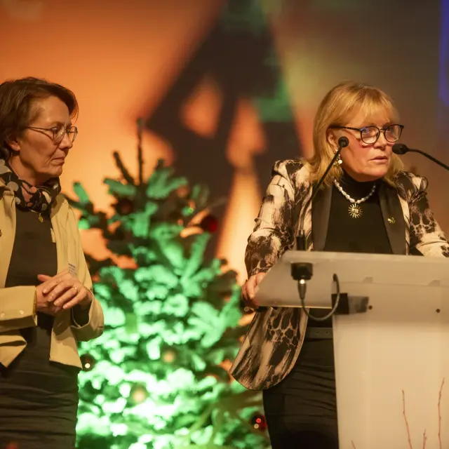 Remise des prix VVF 2025