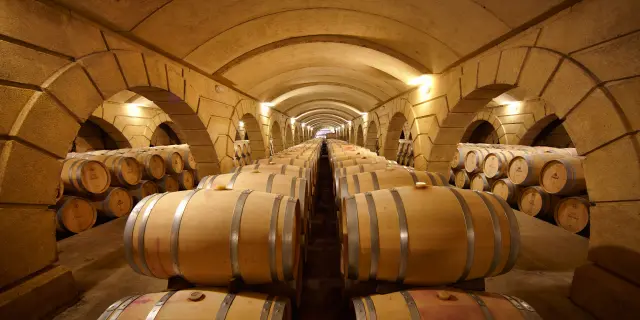 Madiran Vignoble Brumont, Chateau Bouscasse - Chai d'élevage