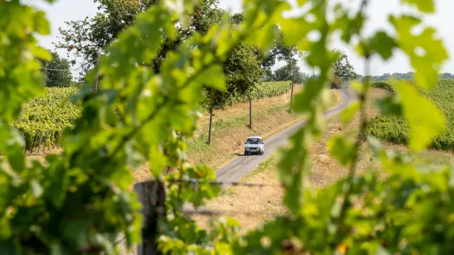 Roadtrip dans les vignes du Madiran