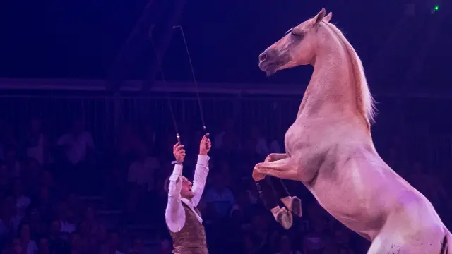 Equestria 2019 4 A.bonal Hpte