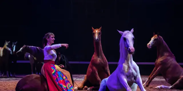 Equestria 2019 18 A.bonal Hpte 1