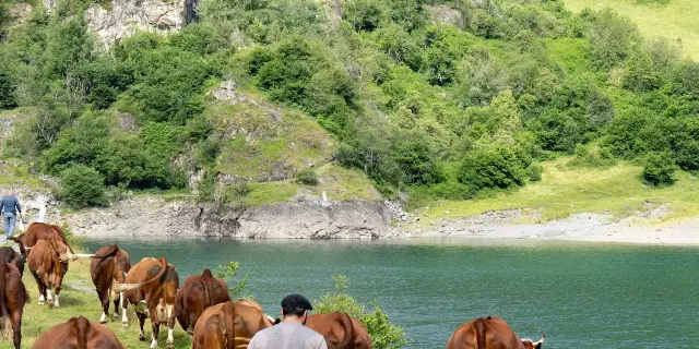 Transhumance Cazaux Val Dazun 2021 Swann Sagnol 5047