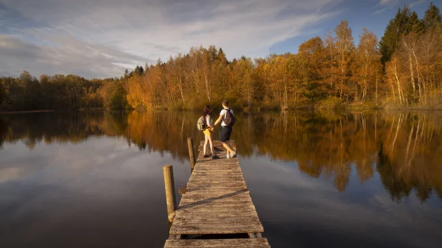 Un couple profite de la vue sur un ponton au-dessus d'un étang, dans un paysage aux couleurs automnales - Région des 1000 Étangs - Vosges du Sud