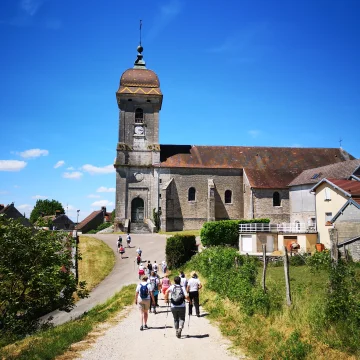 1804 Expertise d'un vignoble à Bucey-les-Gy par BARREY pour