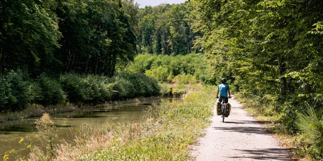 Un cycliste pédale sur La Voie Bleue, le long de la Saône - Vesoul-Val de Saône