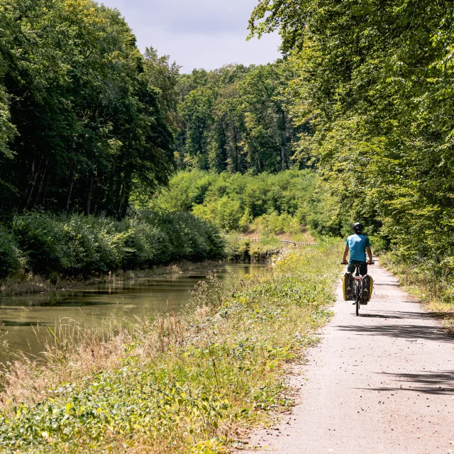 Un cycliste pédale sur La Voie Bleue, le long de la Saône - Vesoul-Val de Saône