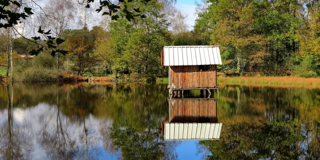 Petit chalet sur pilotis , sur un étang à Ecromagny - Plateau des 1000 étangs - Vosges du Sud